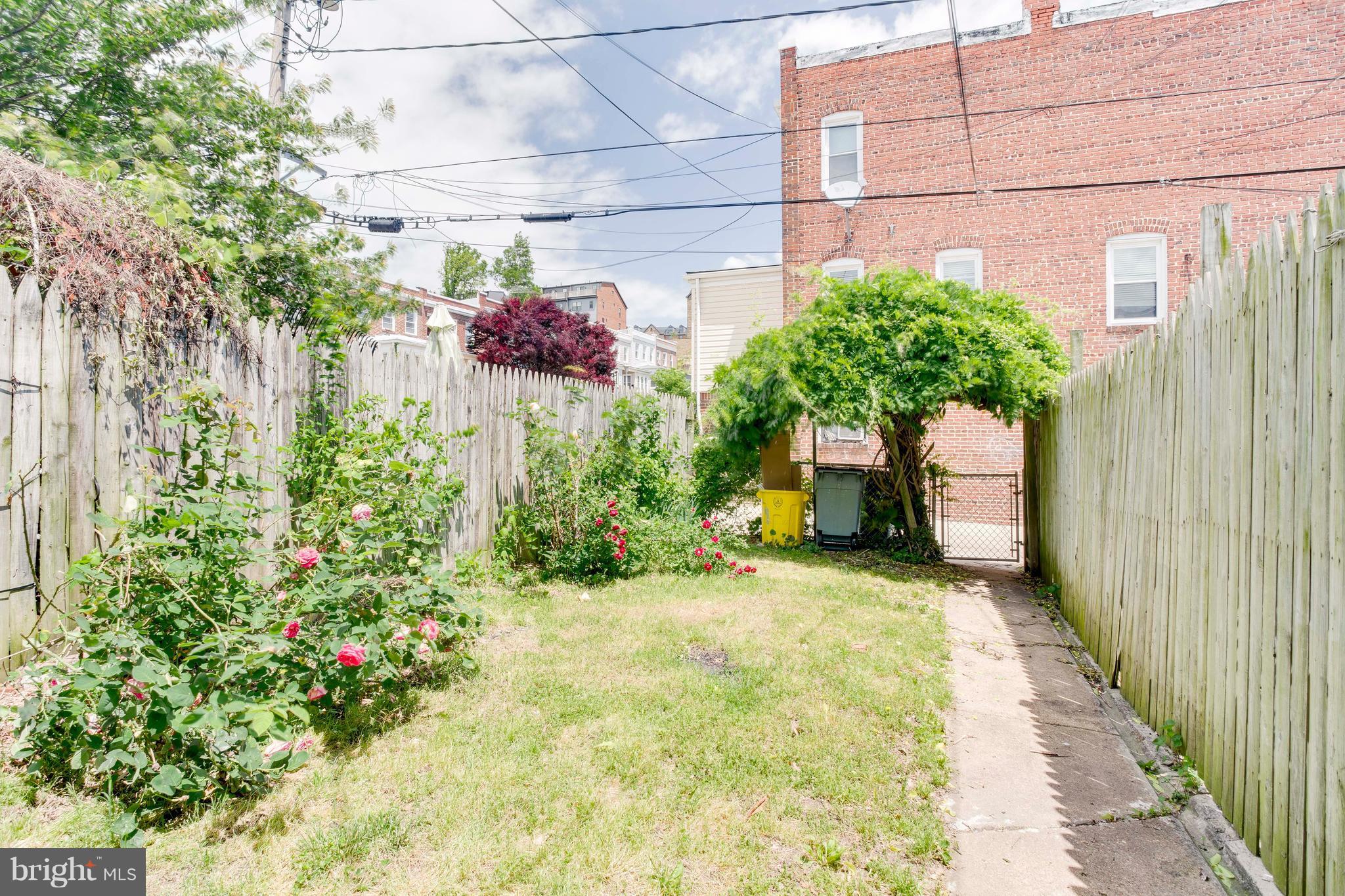 4119 Falls Road Baltimore, MD 21211 - Photo 22 of 23 fenced backyard with roses and wisteria