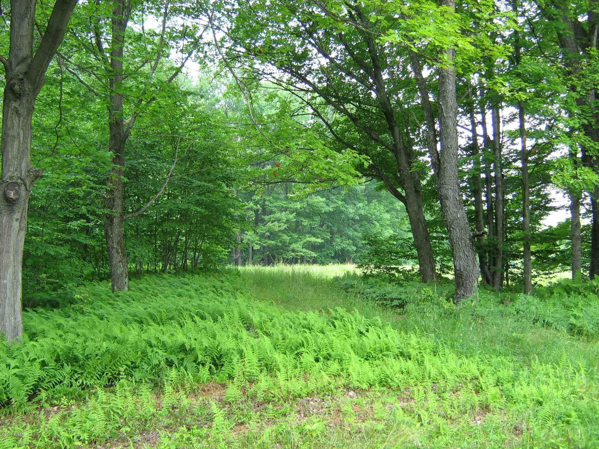 Leonard Road Pleasant Mount, PA 18453 - Photo 6 of 18 Fern Forrest