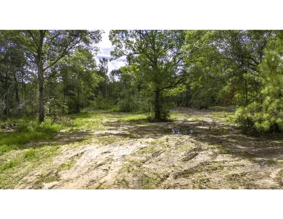 $243,000 | Tbd Tbd Road, Moscow, TX 75960