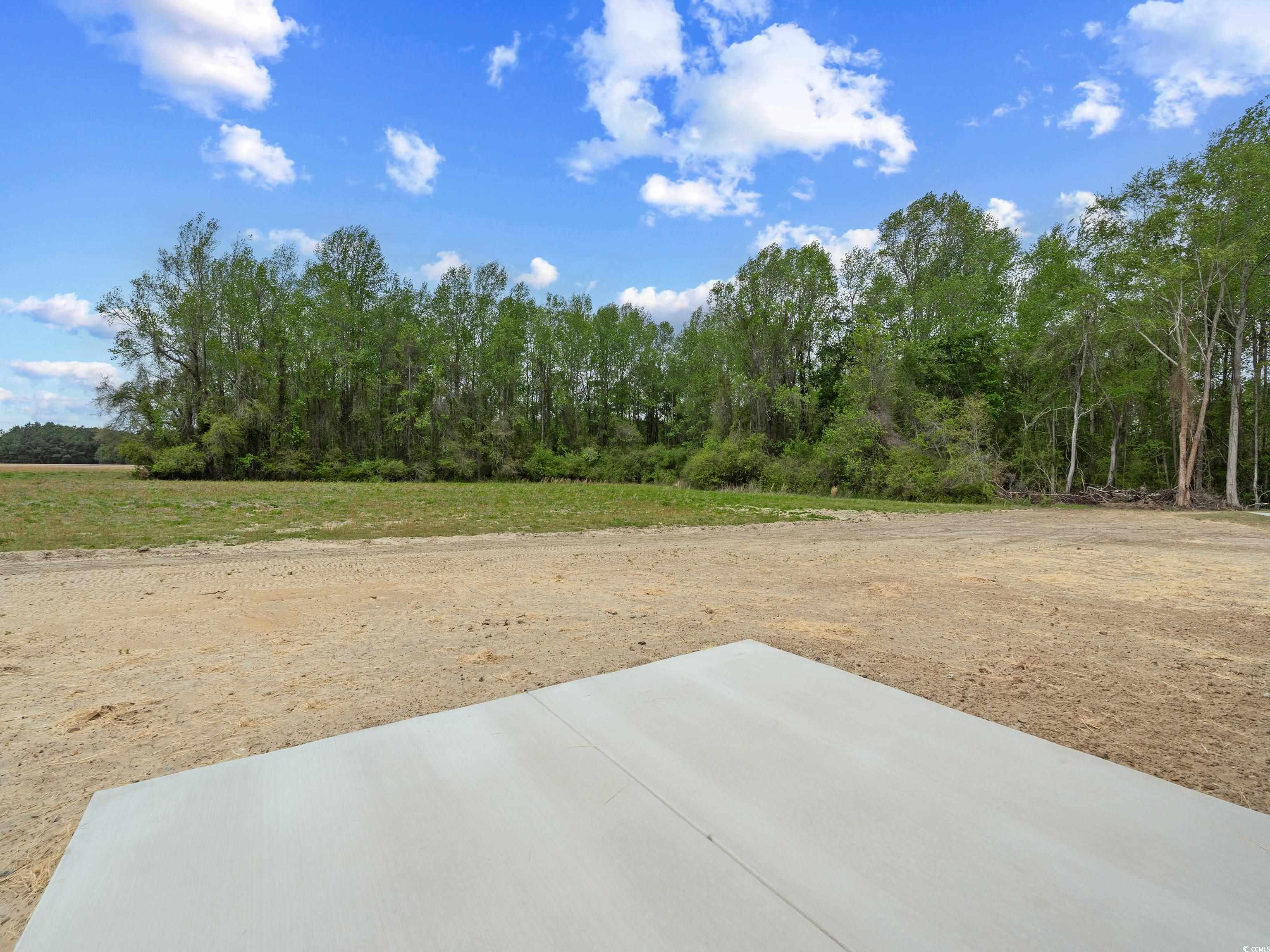 849 Highway 67 Loris Sc 29569 Loris, SC 29569 - Photo 25 of 28 View of yard with a patio