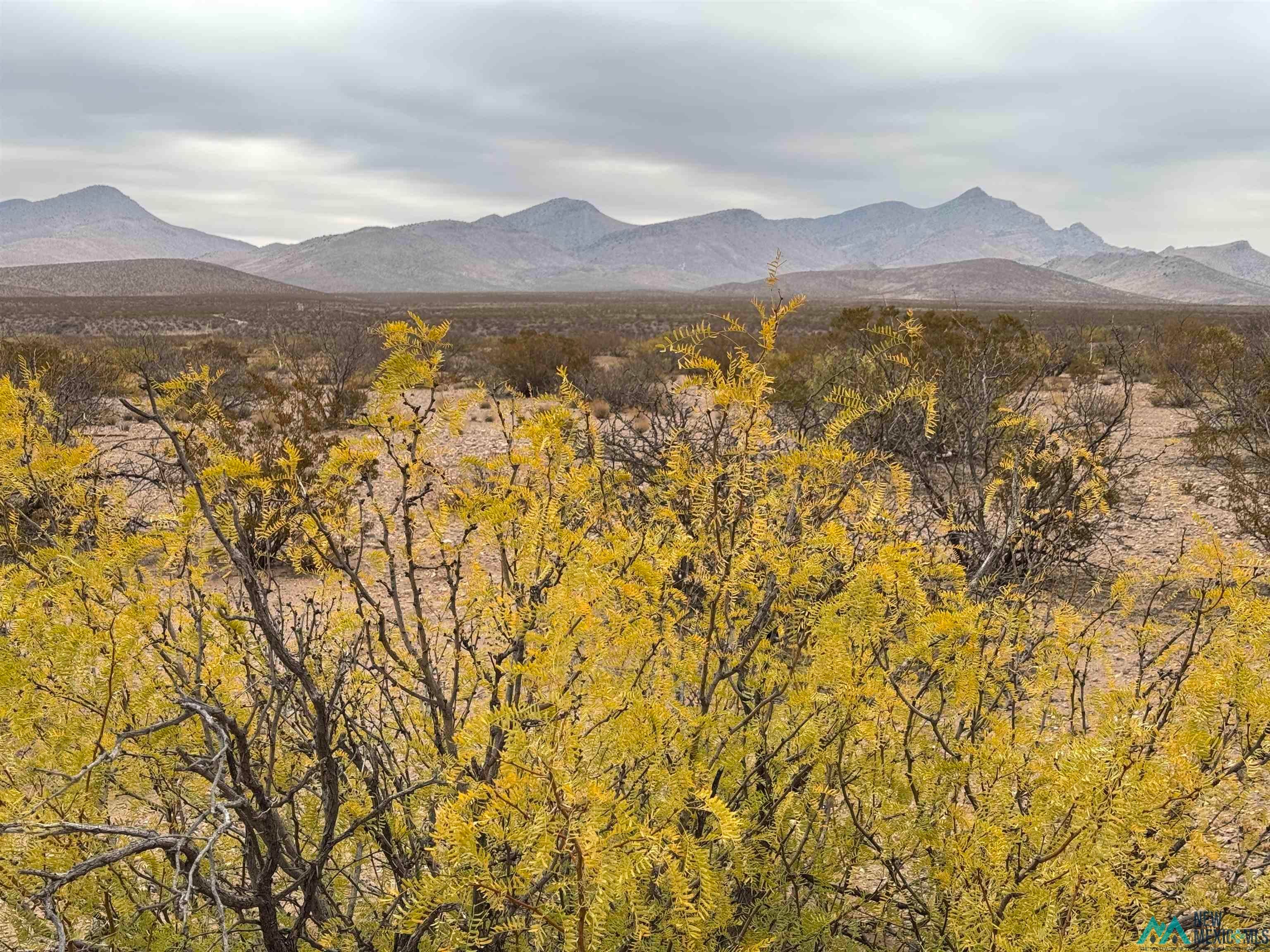 46 Norrick Road Rodeo, NM 88056 - Photo 1 of 1 Gallery Image 1