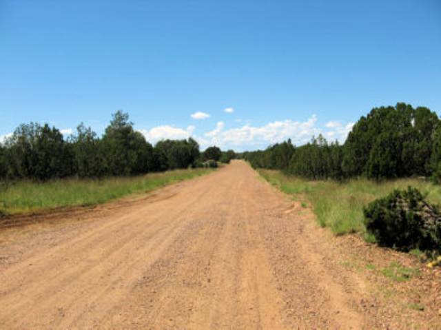 8443 Ridge Drive Show Low, AZ 85901 - Photo 1 of 2 Gallery Image 1