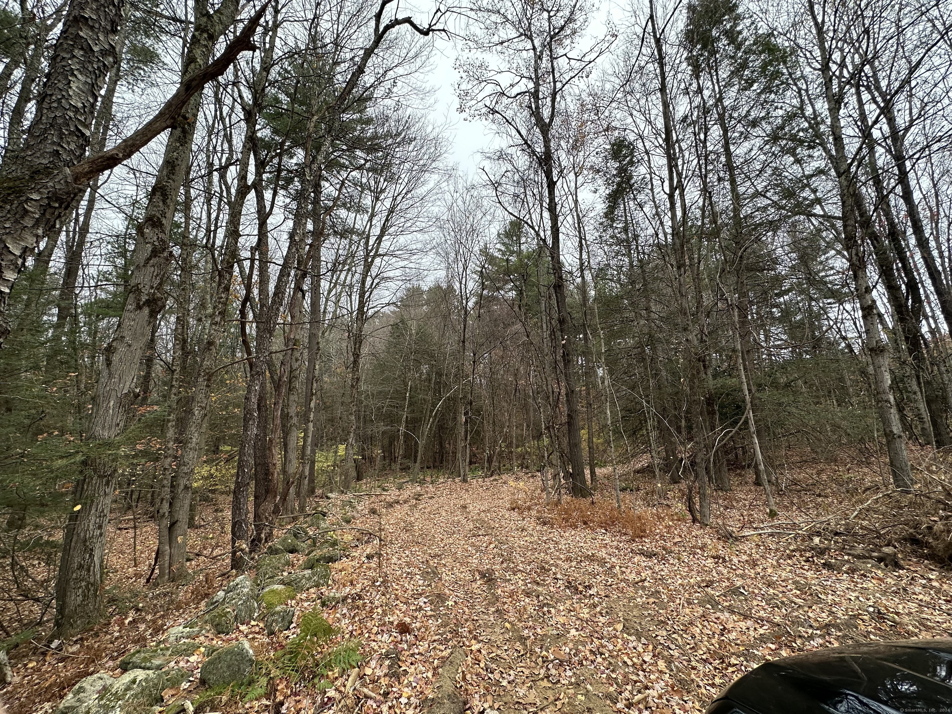 a view of house with trees in the background