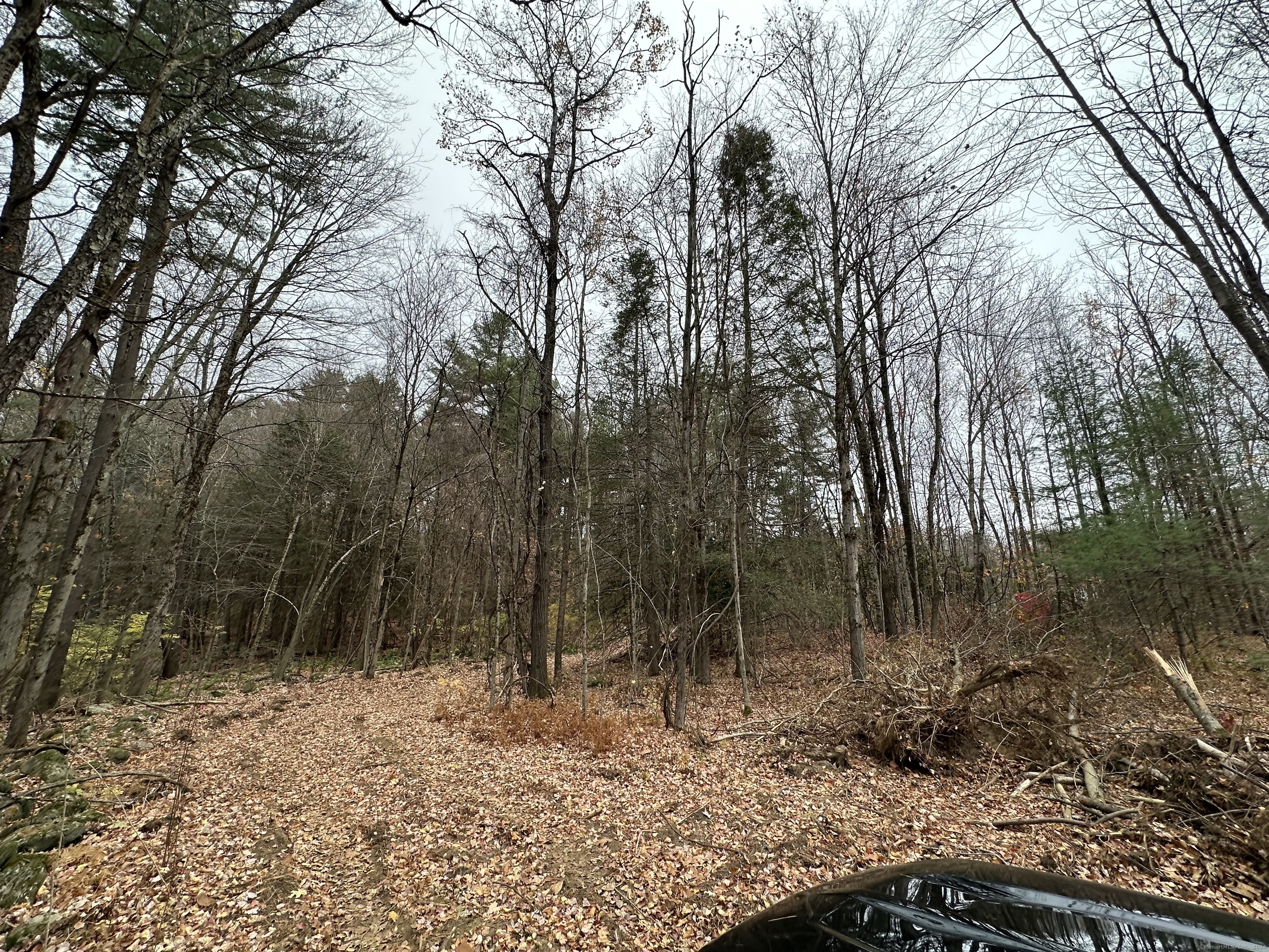 Center Street West Hartland, CT 06091 - Photo 3 of 7 a backyard of a house with lots of green space