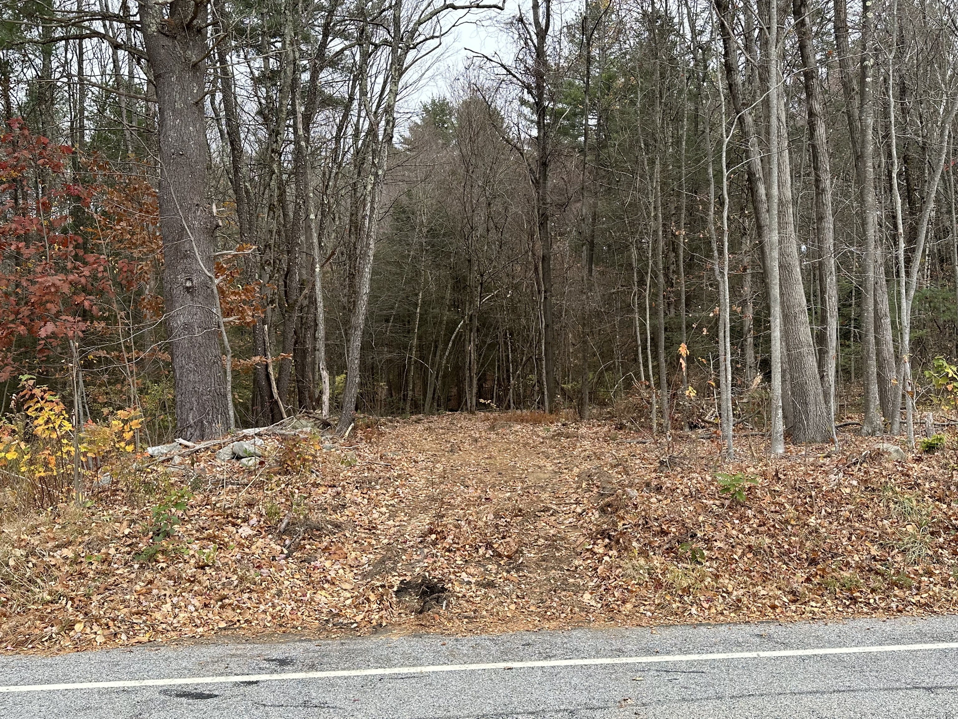 Center Street West Hartland, CT 06091 - Photo 4 of 7 a backyard of a house with lots of green space
