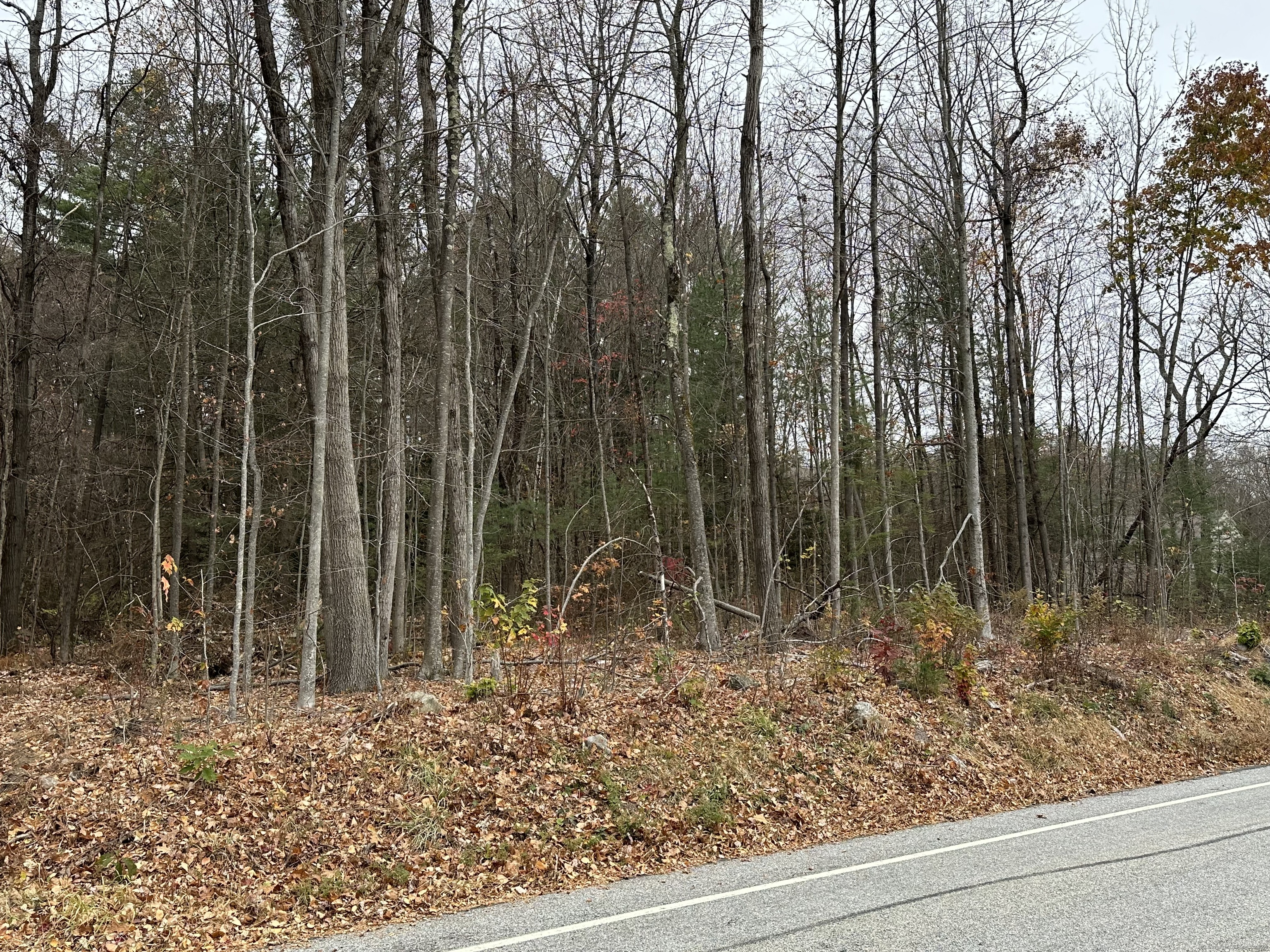 Center Street West Hartland, CT 06091 - Photo 5 of 7 a backyard of a house with lots of green space and plants