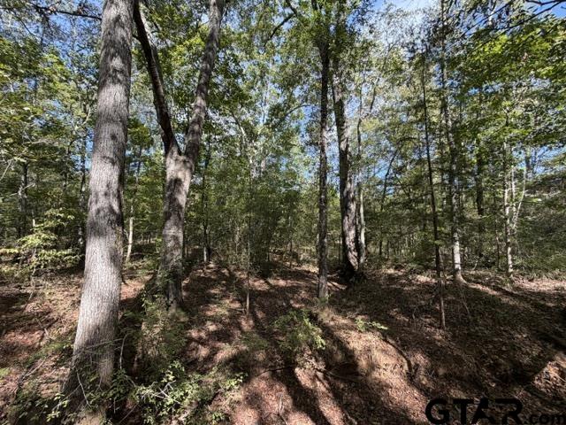 0 County Road 1206 Rusk, TX 75785 - Photo 21 of 27 Gallery Image 21