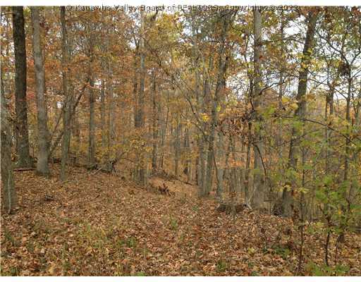 10 Plum Orchard Ripley, WV 25271 - Photo 1 of 1 Land/Lot.