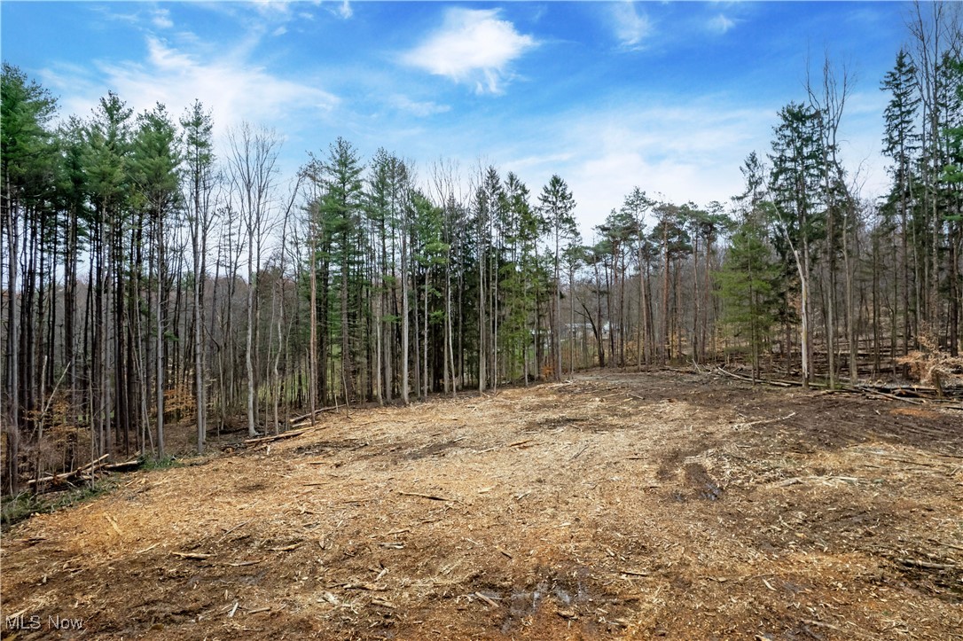 Tbd Trumpower Road Perrysville, OH 44864 - Photo 1 of 9 View of local wilderness featuring a wooded view