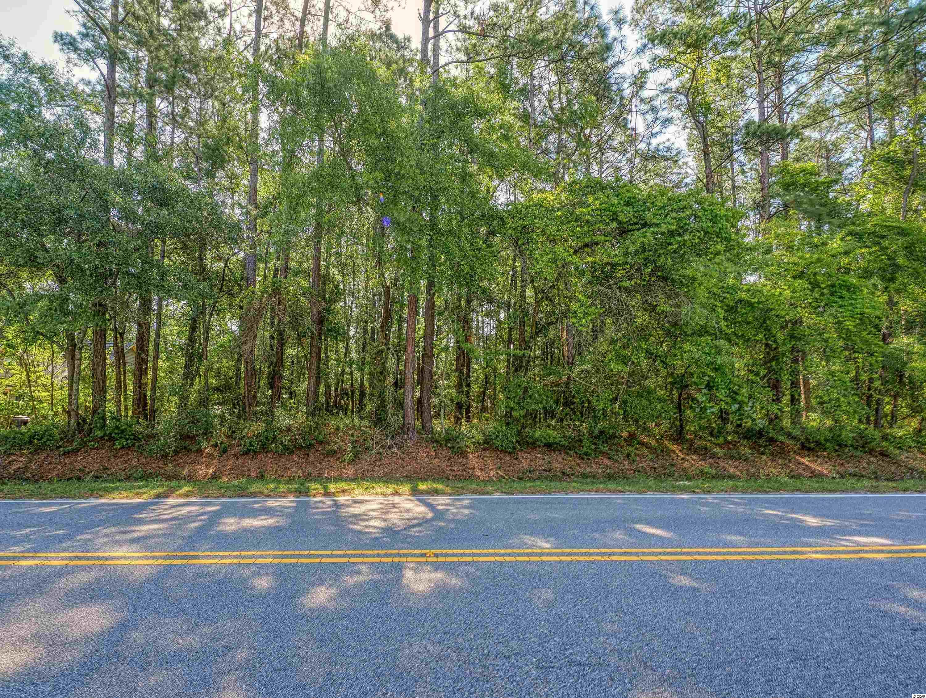 732 Kings River Road Pawleys Island, SC 29585 - Photo 1 of 21 Gallery Image 1