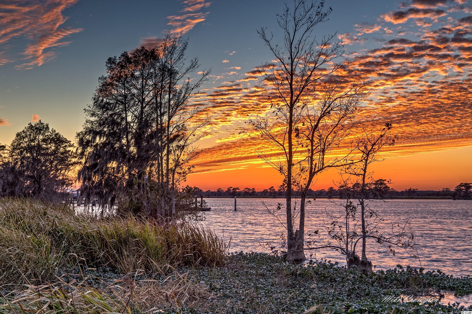 732 Kings River Road Pawleys Island, SC 29585 - Photo 13 of 21 Gallery Image 13