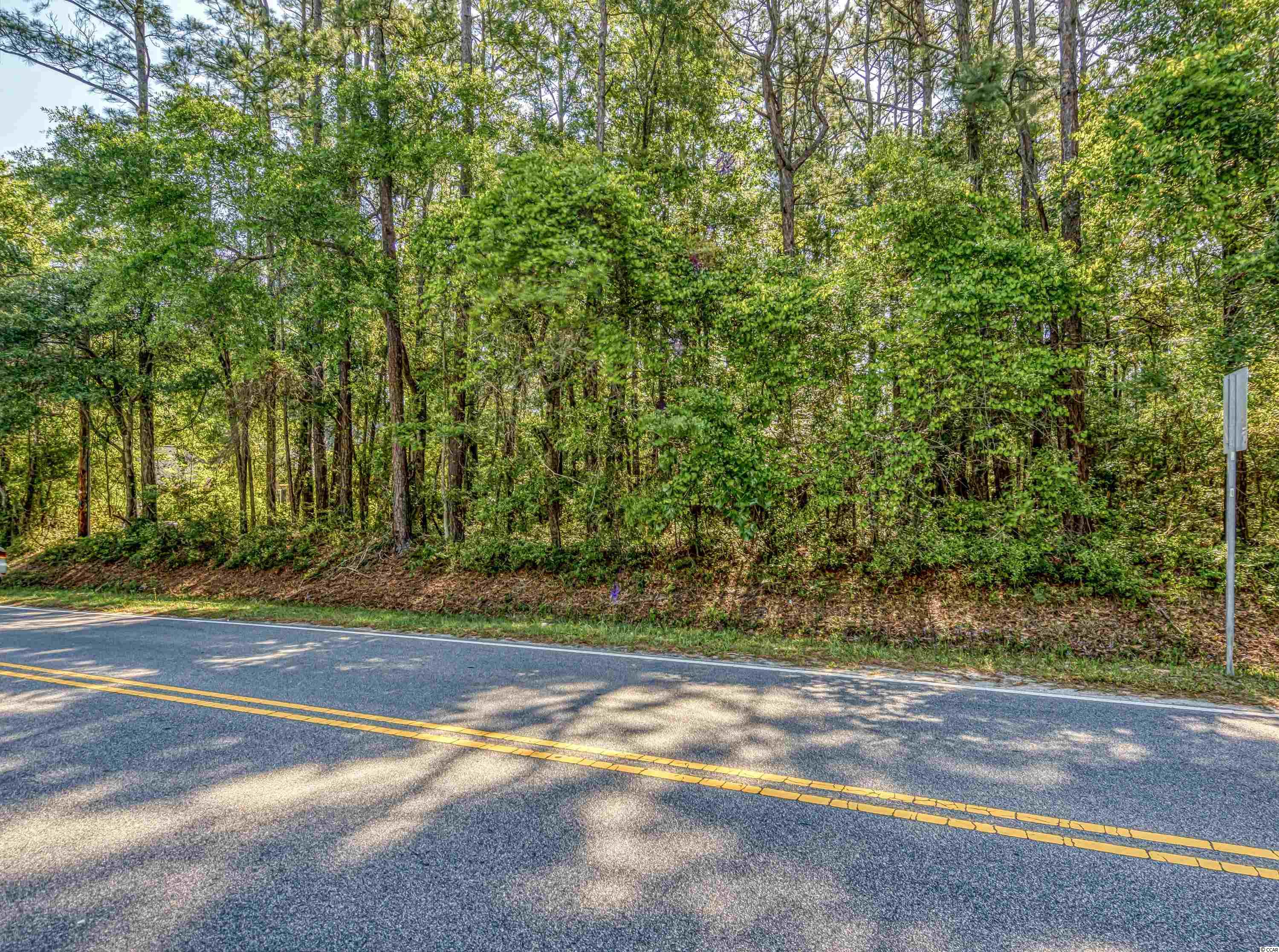 732 Kings River Road Pawleys Island, SC 29585 - Photo 3 of 21 Gallery Image 3