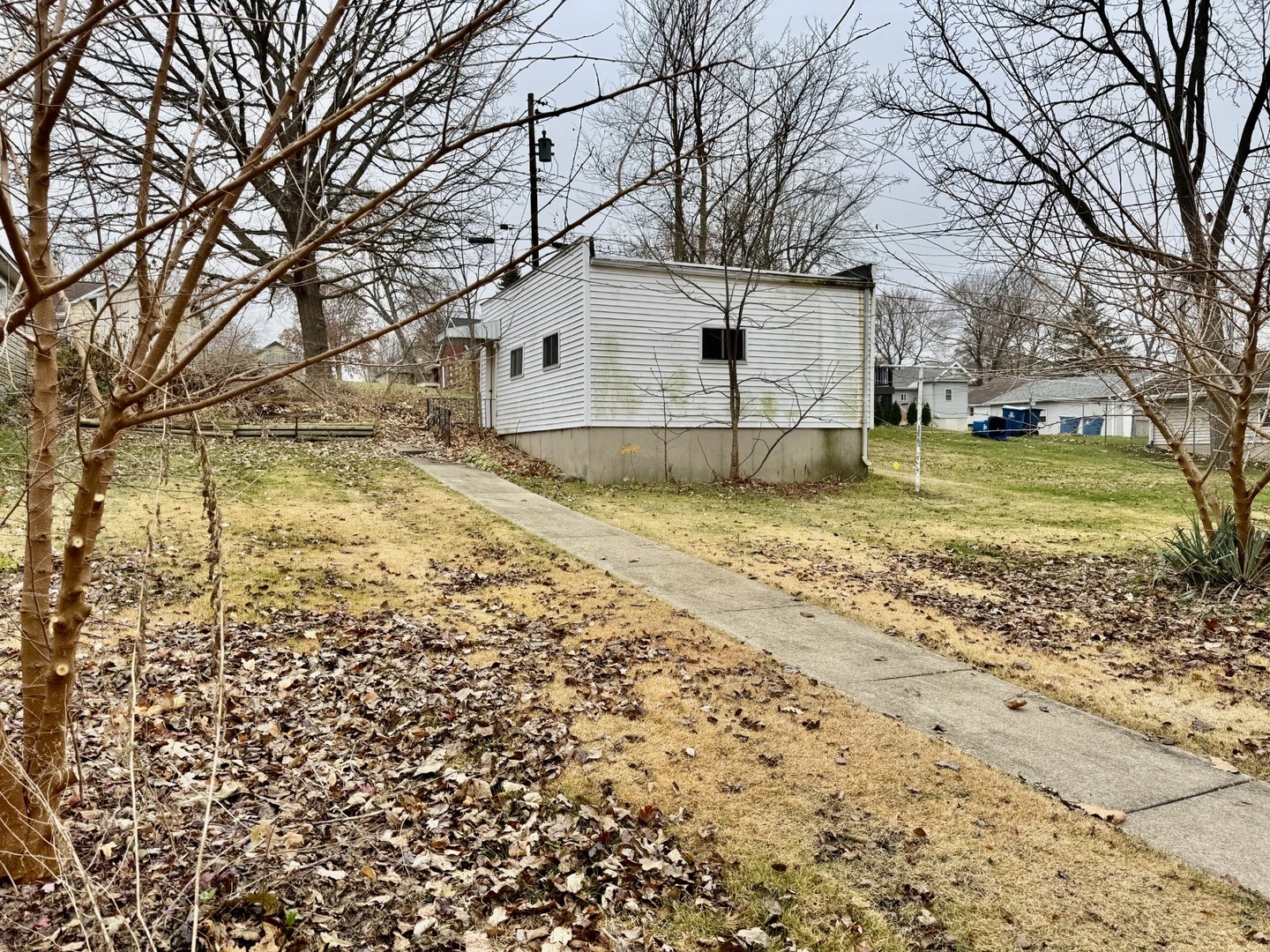 119 East 2nd Street Spring Valley, IL 61362 - Photo 2 of 10 a view of a yard with a large tree