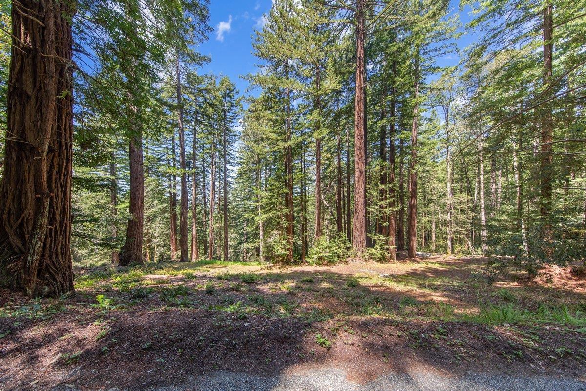 0 Native Sons Road Redwood City, CA 94062 - Photo 13 of 28