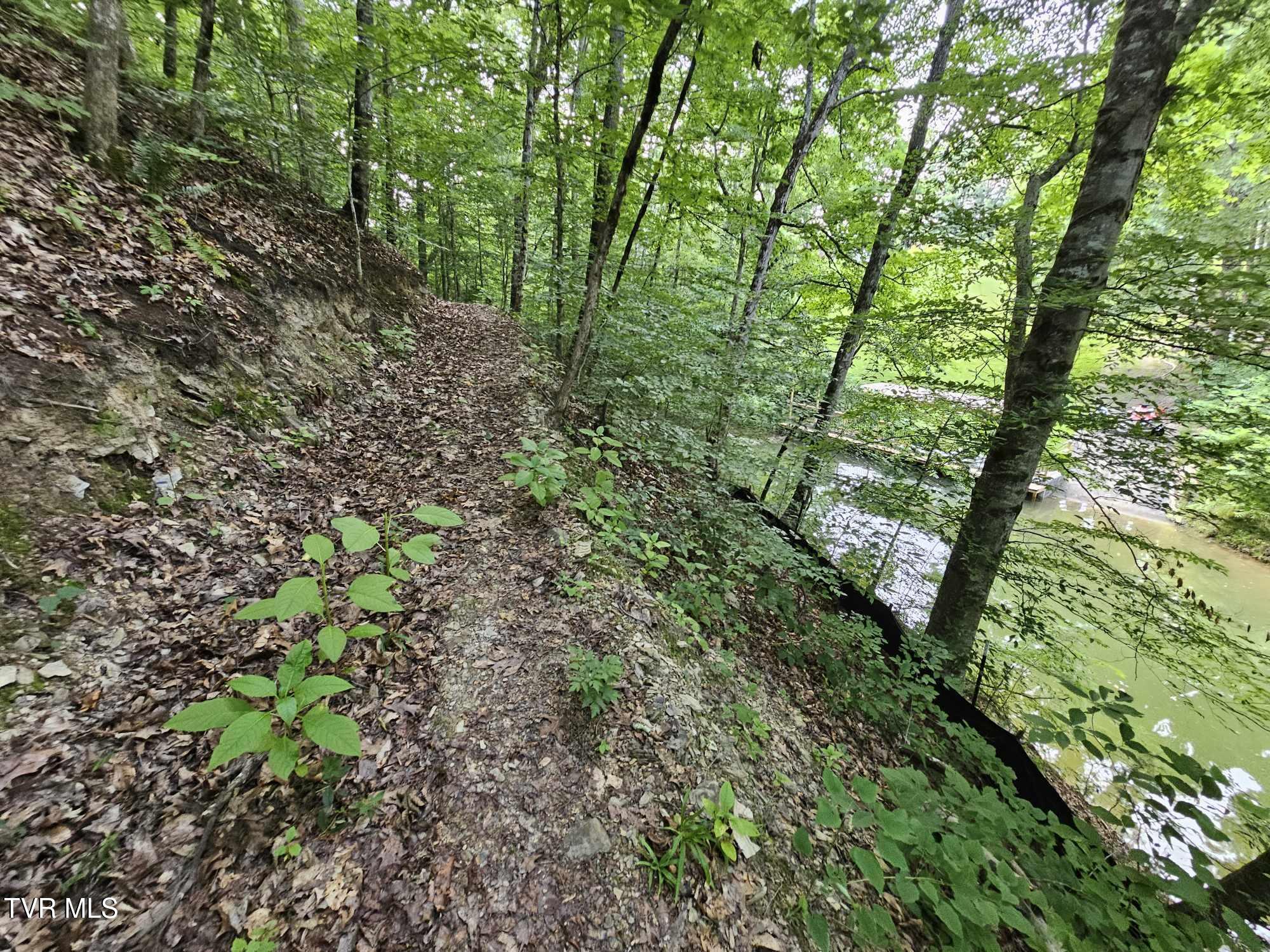 2264 Devault Bridge Road Piney Flats, TN 37686 - Photo 19 of 29 ba3677f5-60a6-4ed3-88cc-2e3768e41b49
