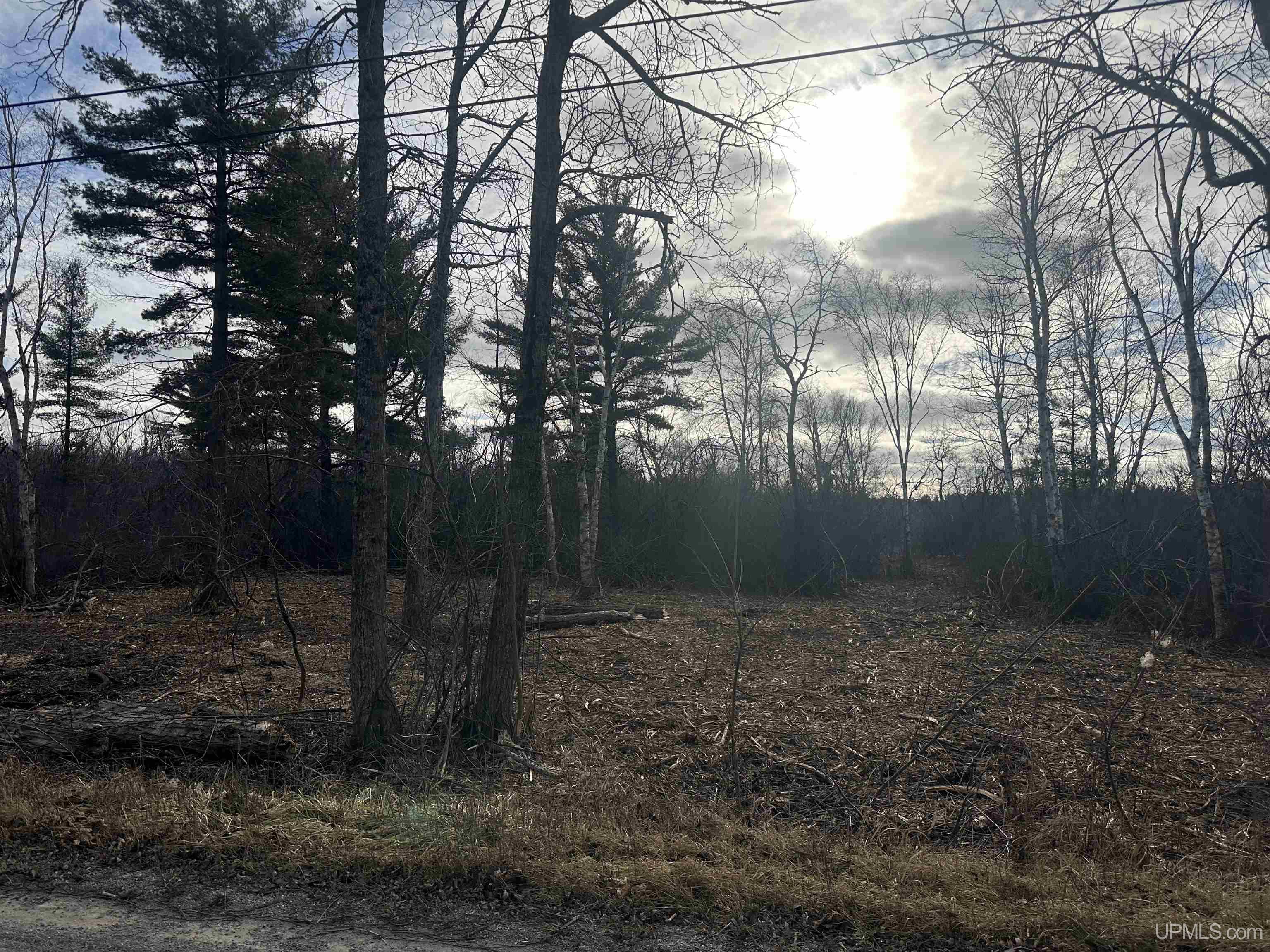 Tbd North Tbd N Old State South Ii Road Escanaba, MI 49829 - Photo 1 of 7