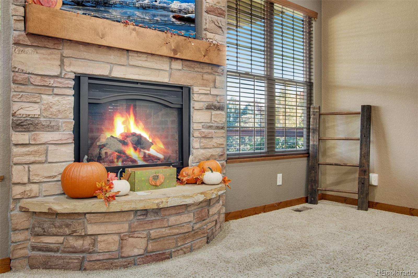 1145 Osprey Road Eaton, CO 80615 - Photo 11 of 40 Gallery Image 11