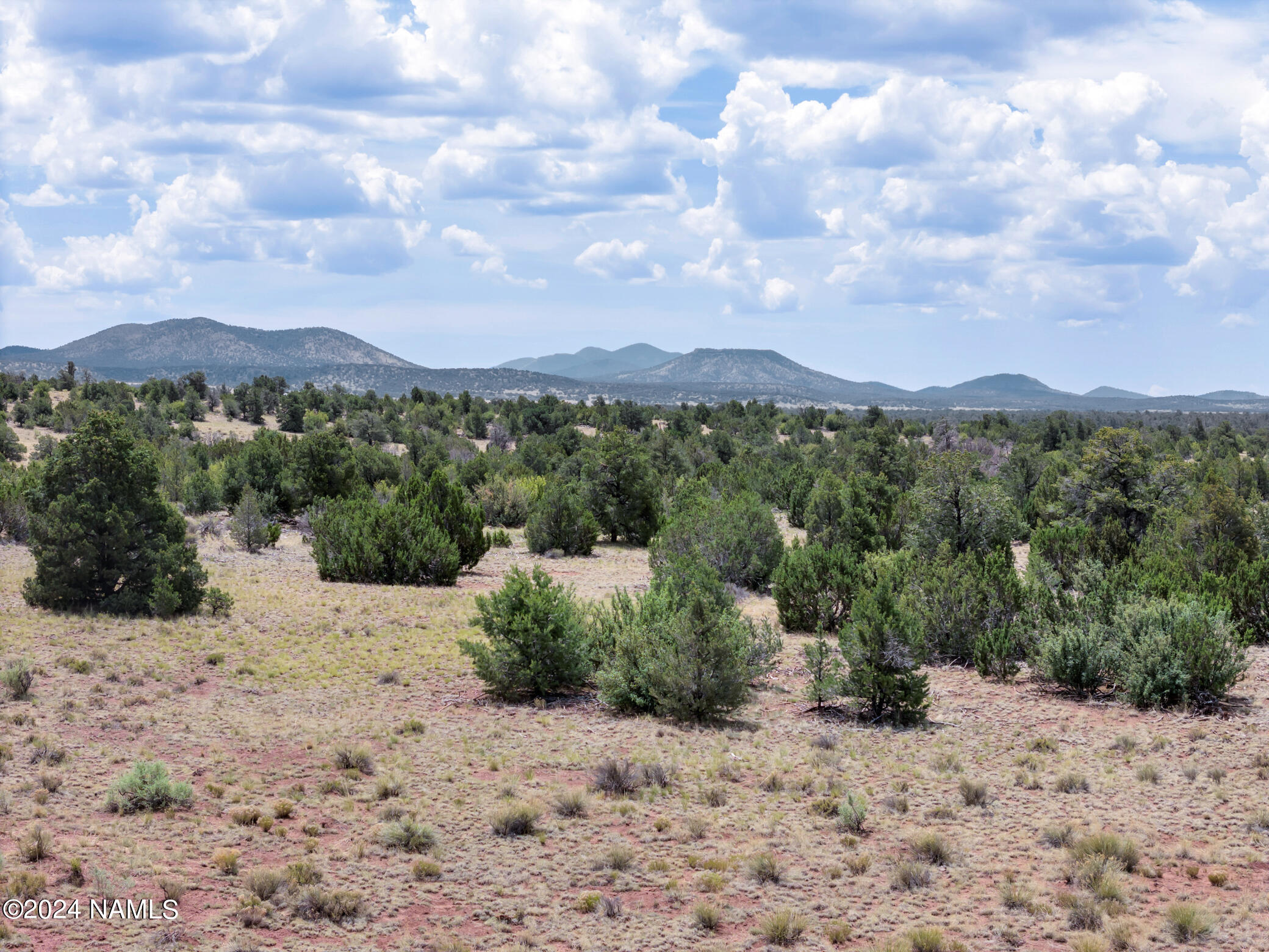 4519 Lasso Loop Williams, AZ 86046 - Photo 11 of 20 4519 Lasso Loop