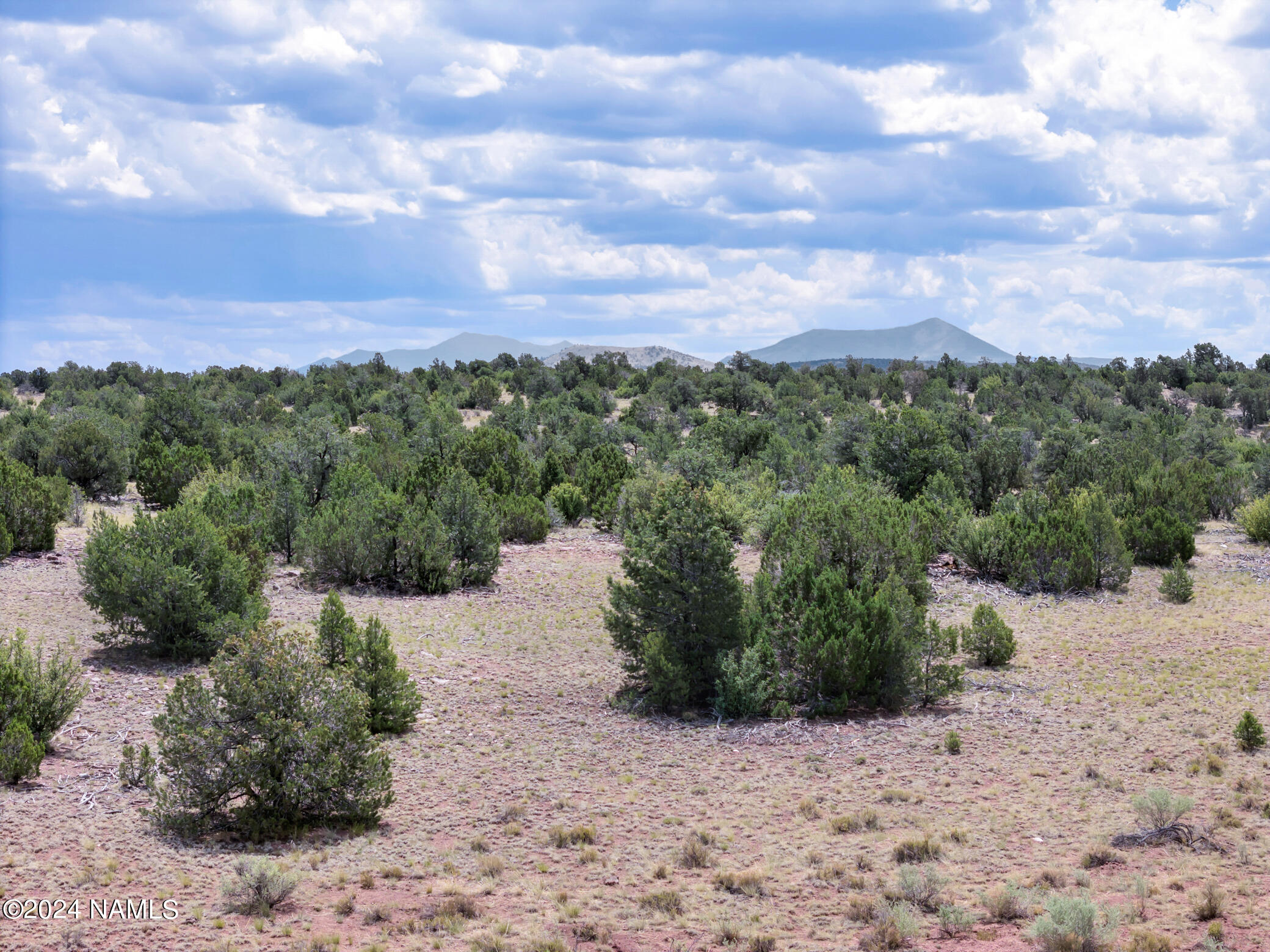 4519 Lasso Loop Williams, AZ 86046 - Photo 12 of 20 4519 Lasso Loop