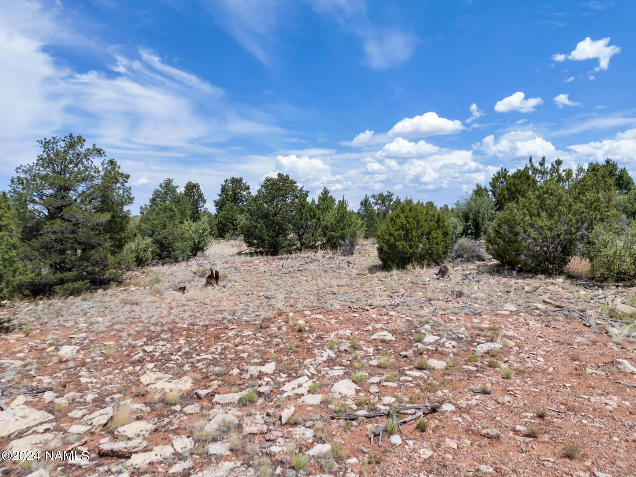 4519 Lasso Loop Williams, AZ 86046 - Photo 6 of 20 4519 Lasso Loop
