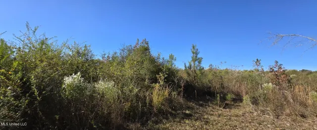 $161,000 | 280 Pushapatapa Road, Tylertown, MS 39667