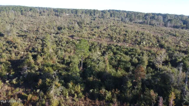 $161,000 | 280 Pushapatapa Road, Tylertown, MS 39667