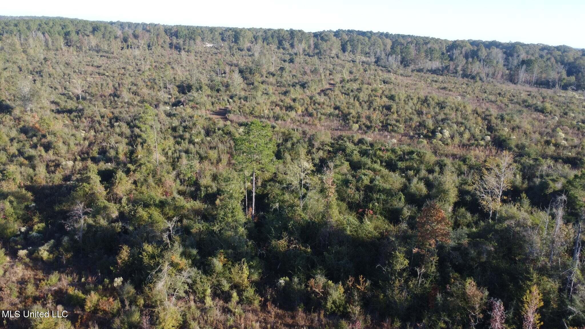 280 Pushapatapa Road Tylertown, MS 39667 - Photo 11 of 79 6c126c1c-06b5-4514-b5fe-211e9735897b