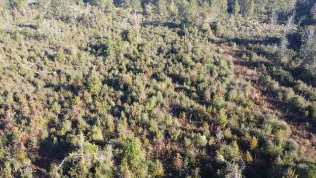 $161,000 | 280 Pushapatapa Road, Tylertown, MS 39667