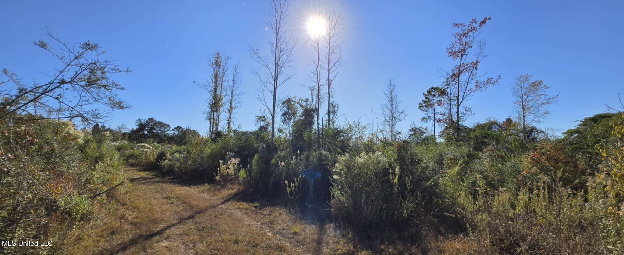 280 Pushapatapa Road Tylertown, MS 39667 - Photo 13 of 79 6f5c085b-8794-4e92-b368-63937f7aae27