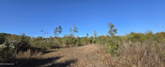 $161,000 | 280 Pushapatapa Road, Tylertown, MS 39667