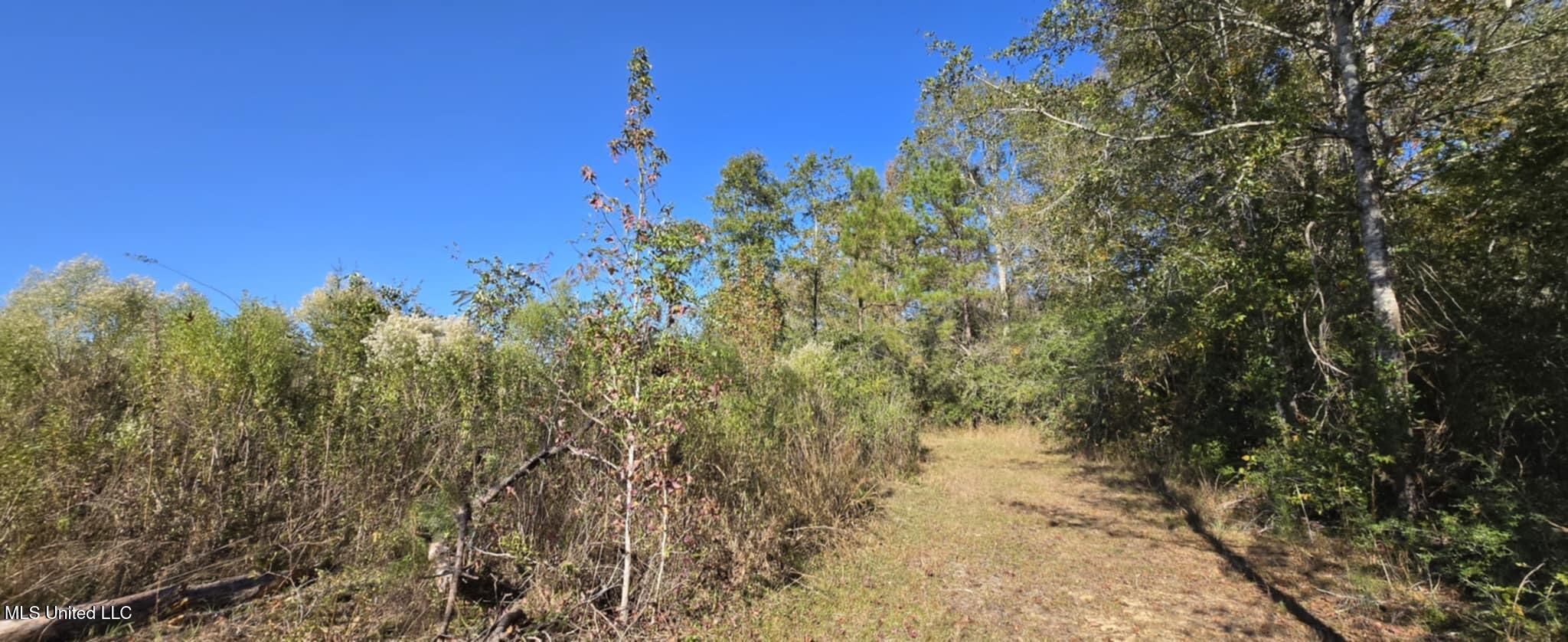 280 Pushapatapa Road Tylertown, MS 39667 - Photo 15 of 79 7c083d93-2f82-4220-9edd-f7bfd6b52204