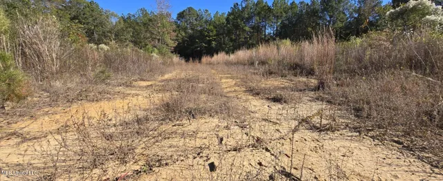 $161,000 | 280 Pushapatapa Road, Tylertown, MS 39667