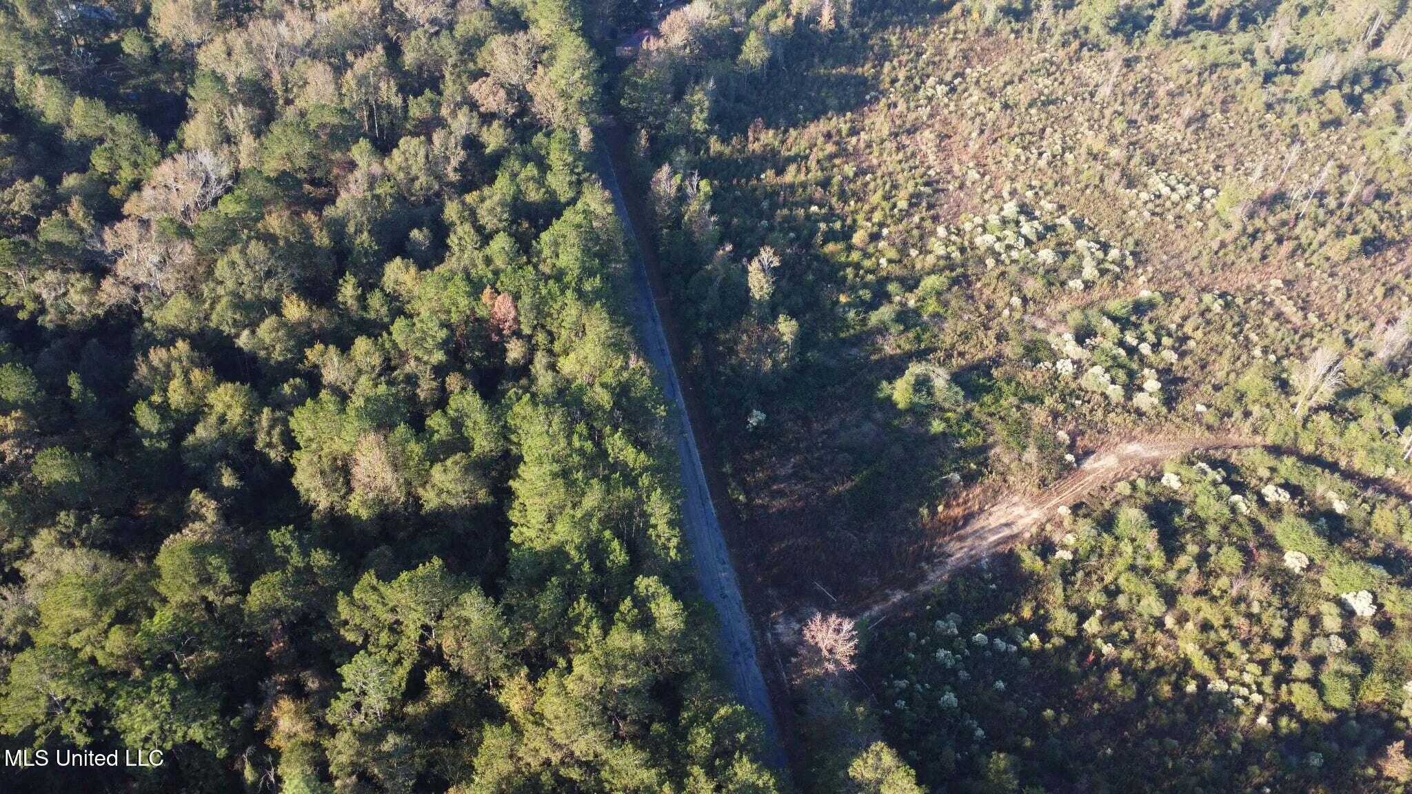 280 Pushapatapa Road Tylertown, MS 39667 - Photo 17 of 79 7d80d9fa-0c01-4de6-a51c-110167727a18