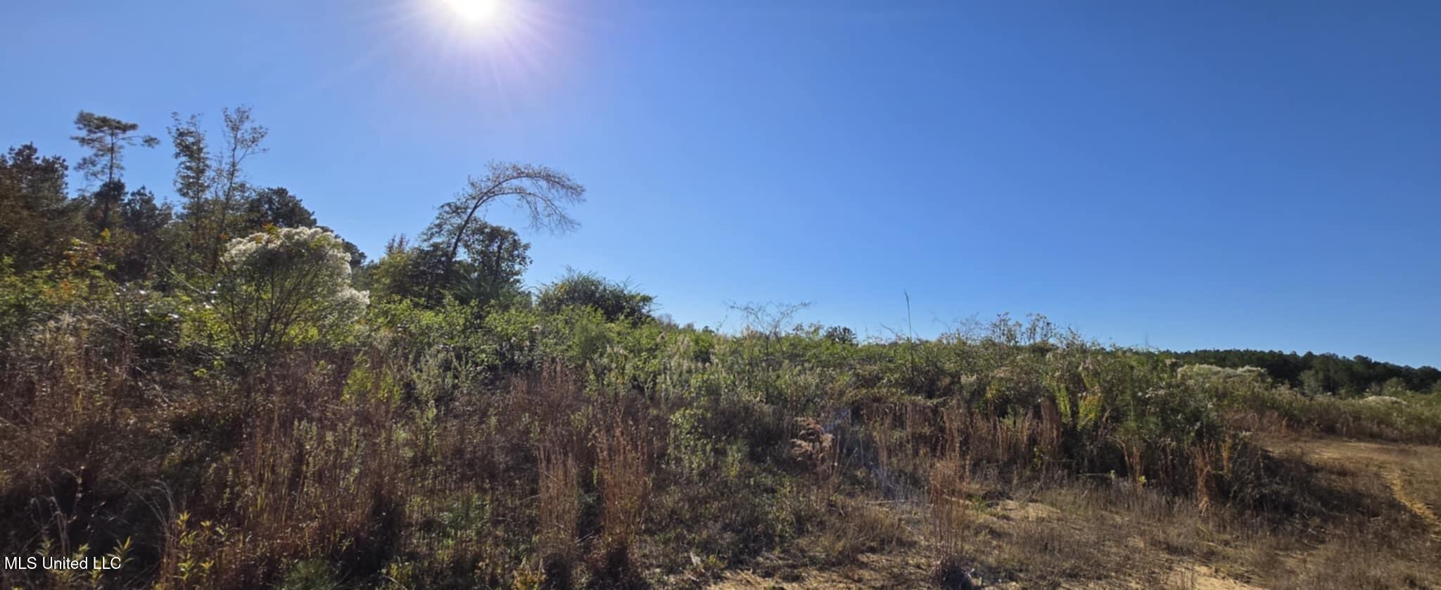 280 Pushapatapa Road Tylertown, MS 39667 - Photo 18 of 79 8abc9c5d-997a-46df-bb82-f4daf8151dea