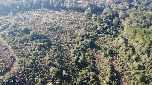 $161,000 | 280 Pushapatapa Road, Tylertown, MS 39667