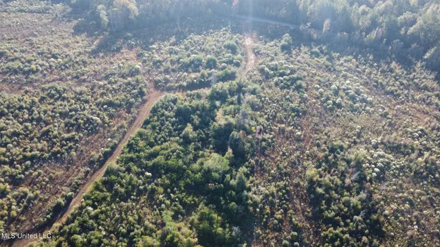 $161,000 | 280 Pushapatapa Road, Tylertown, MS 39667