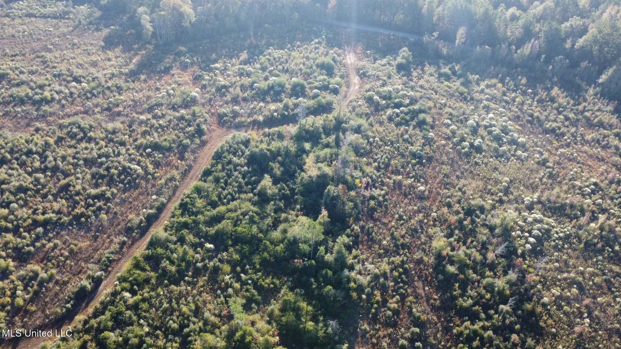 280 Pushapatapa Road Tylertown, MS 39667 - Photo 20 of 79 10e03965-adb7-4e7b-a233-612cc0de1c85