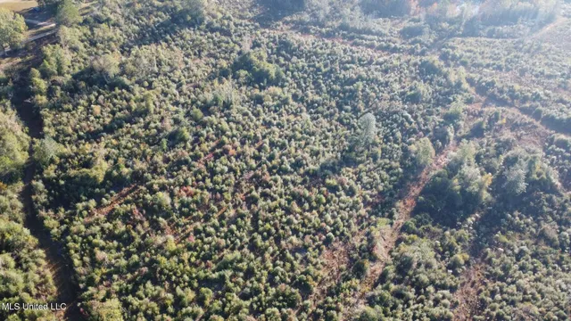 $161,000 | 280 Pushapatapa Road, Tylertown, MS 39667