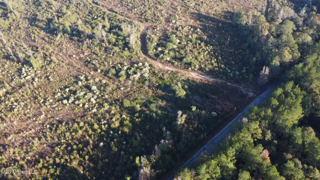 $161,000 | 280 Pushapatapa Road, Tylertown, MS 39667