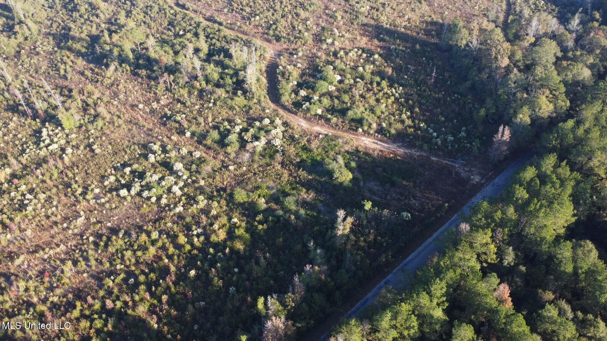 280 Pushapatapa Road Tylertown, MS 39667 - Photo 21 of 79 14cae3a9-b630-449e-8876-ff8e3f40f19e