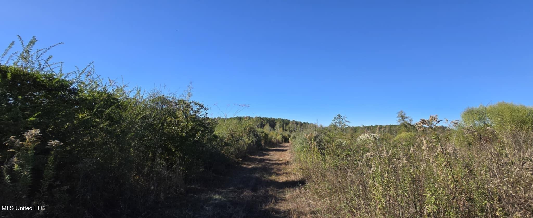 280 Pushapatapa Road Tylertown, MS 39667 - Photo 22 of 79 19c2e482-bc64-477d-a8b2-4af3ea251e90