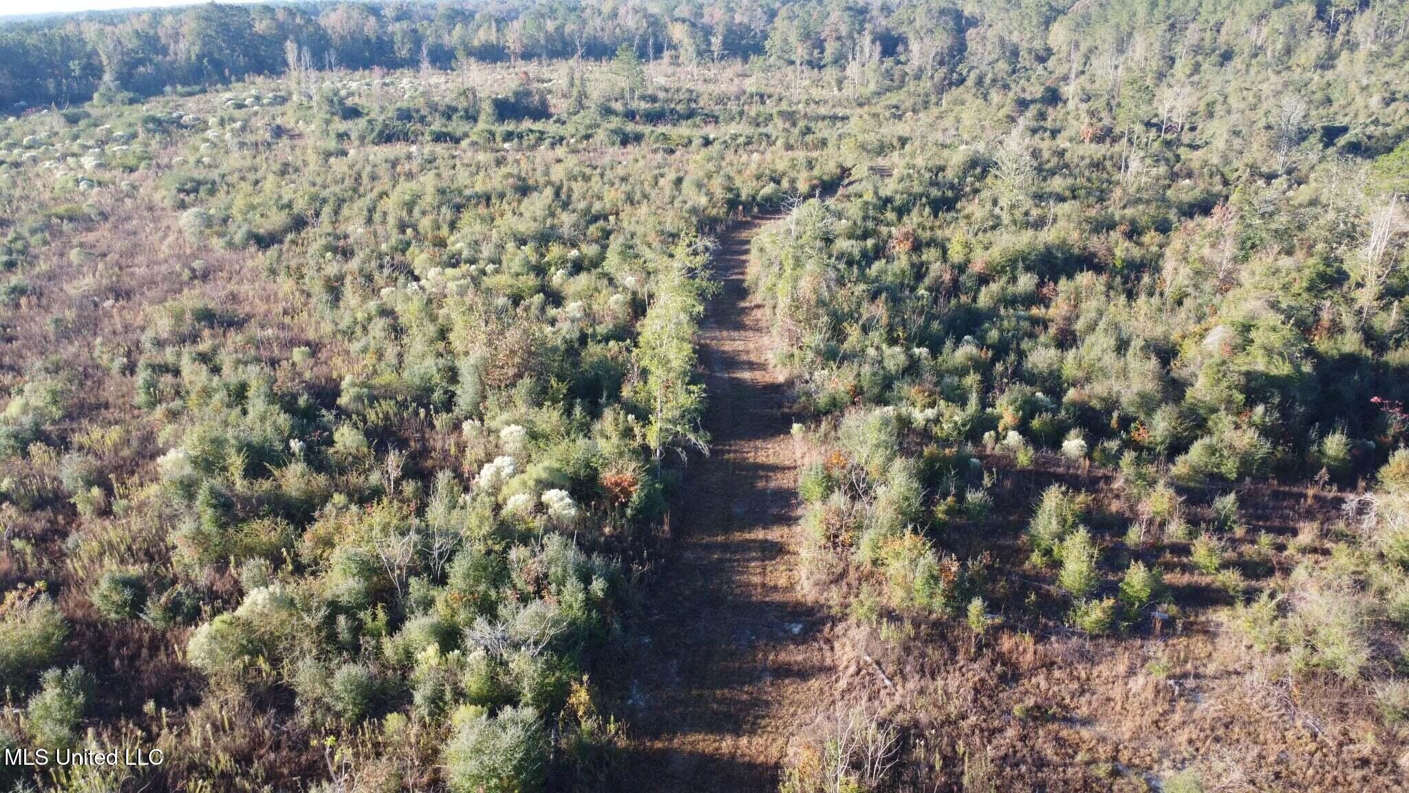 280 Pushapatapa Road Tylertown, MS 39667 - Photo 23 of 79 20ef8aca-ef2e-4690-b3c4-89b43ffcb35e