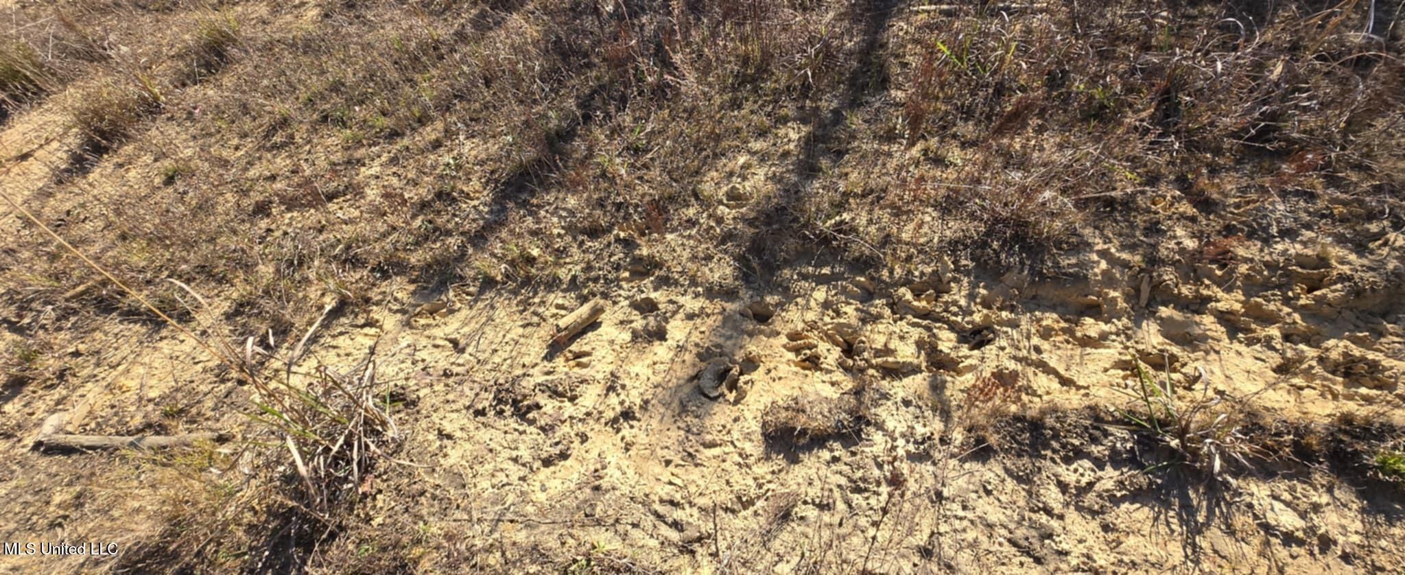 280 Pushapatapa Road Tylertown, MS 39667 - Photo 24 of 79 27a4a3bb-f81c-46b8-829a-62881d264c8a