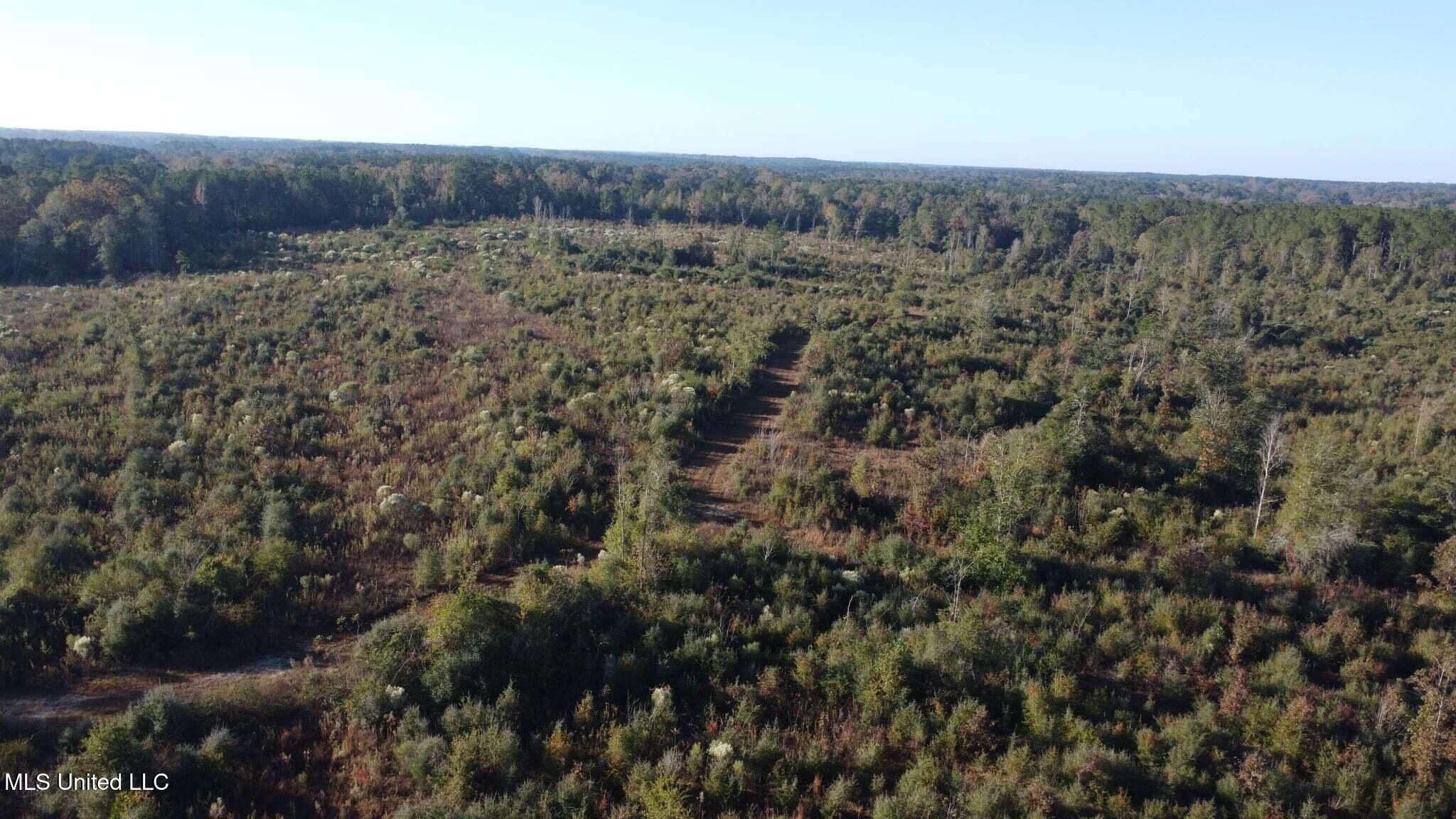 280 Pushapatapa Road Tylertown, MS 39667 - Photo 25 of 79 39d78928-3dda-44f6-a34d-e1cce994bd3a