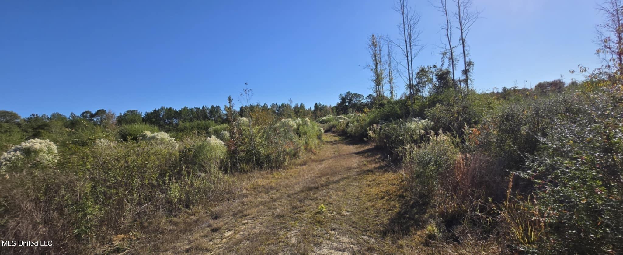 280 Pushapatapa Road Tylertown, MS 39667 - Photo 28 of 79 79e23c2f-53fa-4f6c-a528-a073e63ec13b