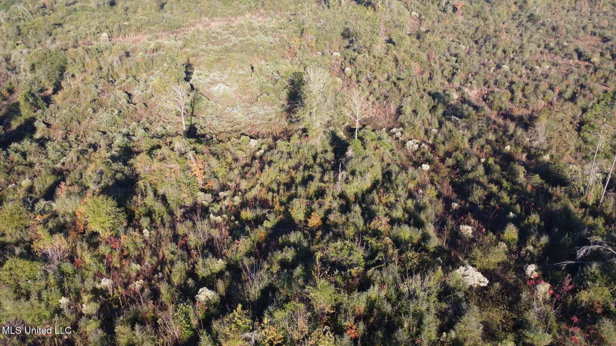 280 Pushapatapa Road Tylertown, MS 39667 - Photo 29 of 79 87af046d-9dc1-4810-9a70-456de40155f5