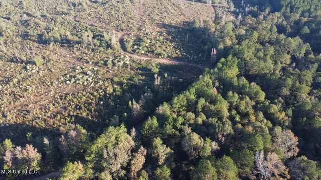 $161,000 | 280 Pushapatapa Road, Tylertown, MS 39667