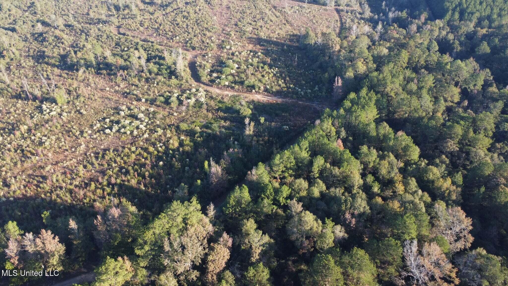 280 Pushapatapa Road Tylertown, MS 39667 - Photo 30 of 79 90bfc3db-8dd0-4387-9bd4-6d8121806ec2