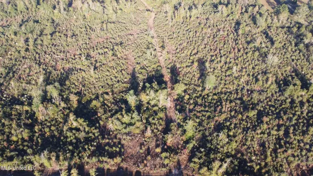 $161,000 | 280 Pushapatapa Road, Tylertown, MS 39667