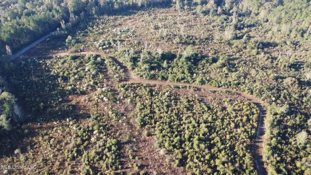 $161,000 | 280 Pushapatapa Road, Tylertown, MS 39667